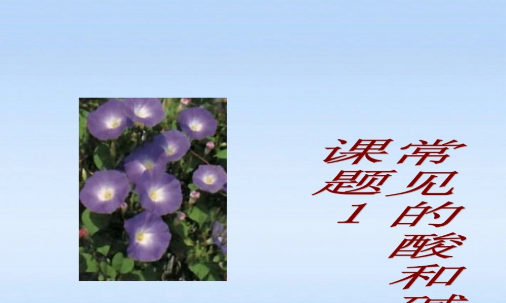 九年级化学下册 课题1常见的酸和碱课件 人教新课标版 课件