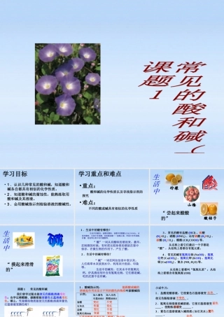 九年级化学下册 课题1常见的酸和碱课件 人教新课标版 课件