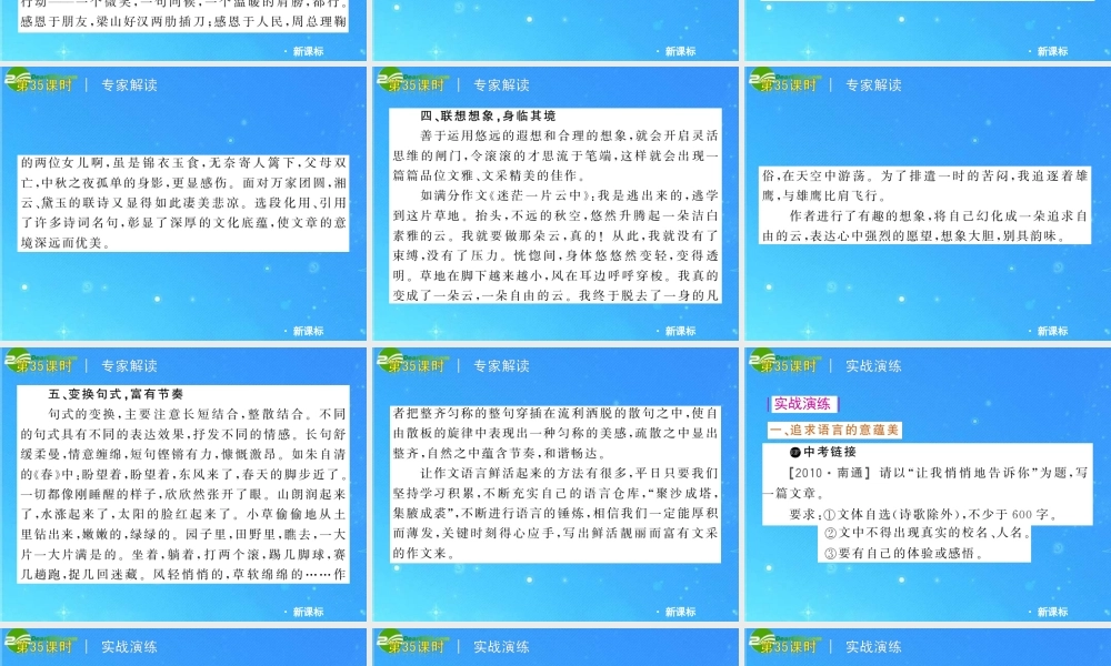 中考语文复习方案 第35课时　让语言鲜活起来课件 人教新课标版 课件