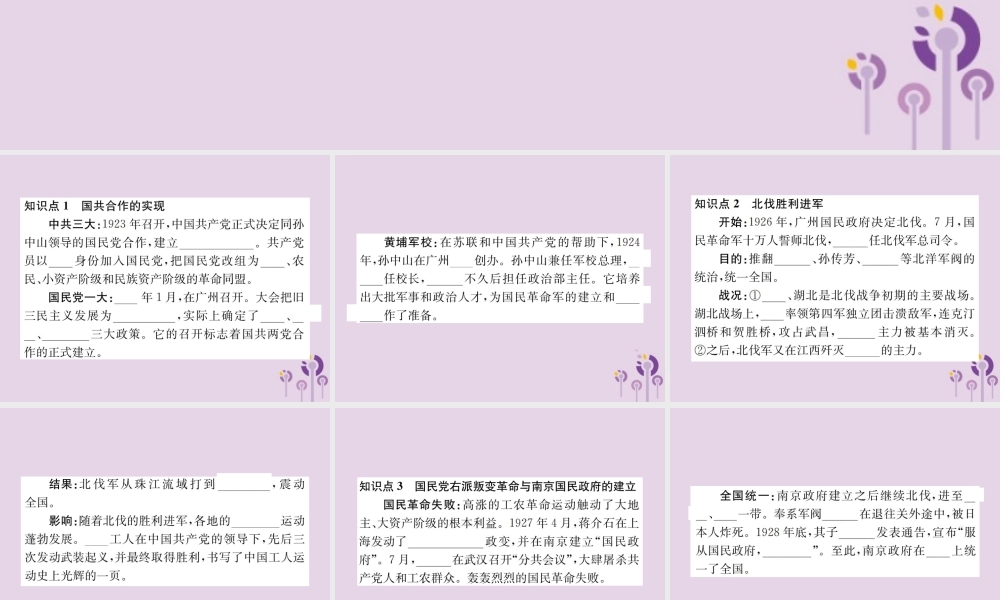 (河南专版)八年级历史上册 第五单元 从国共合作到国共对峙 第15课 北伐战争课件 新人教版 课件