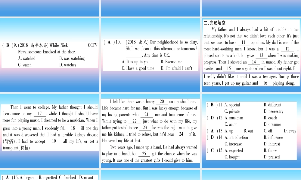 (湖北专用版)版中考英语复习 第一篇 教材系统复习 考点精练十三 八下 Units 5 6实用课件