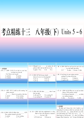 (湖北专用版)版中考英语复习 第一篇 教材系统复习 考点精练十三 八下 Units 5 6实用课件