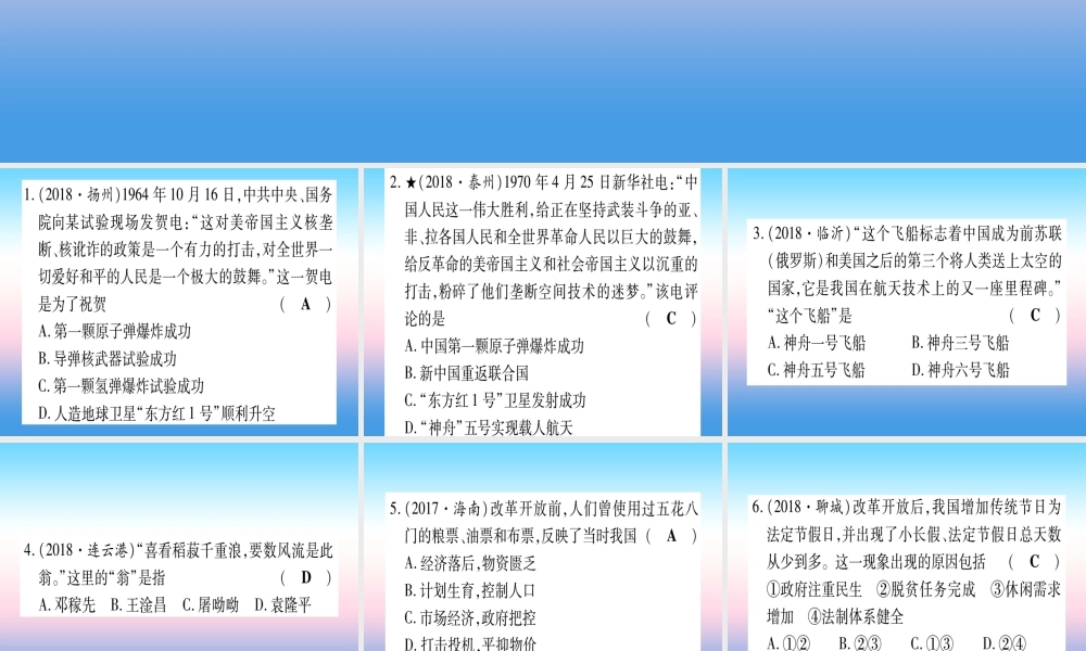 (甘肃专用)中考历史总复习 第一篇 考点系统复习 板块三 中国现代史 主题六 科技文化与社会生活(精练)课件