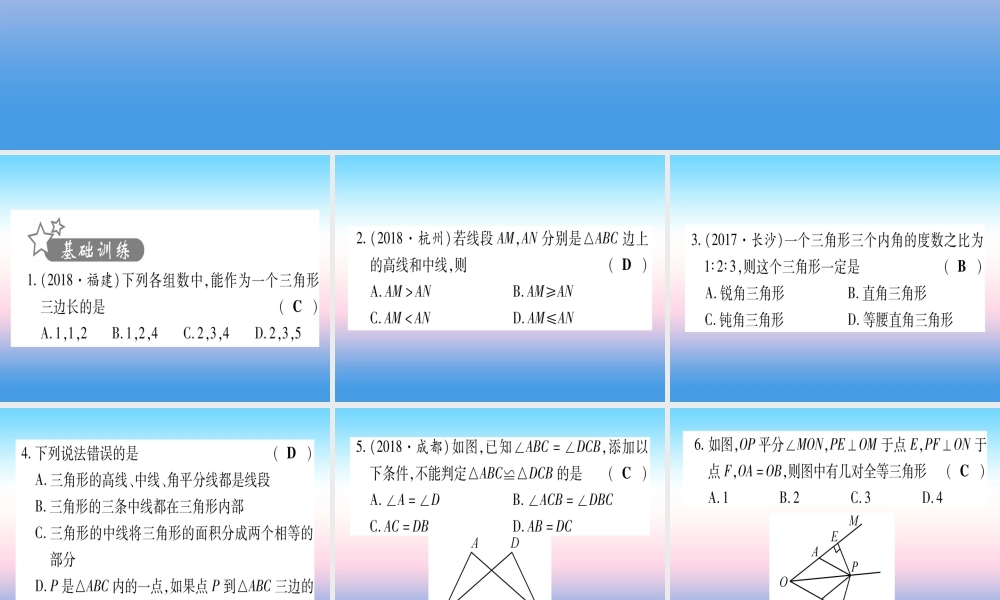 (甘肃专用)中考数学 第一轮 考点系统复习 第4章 三角形 第2节 三角形与全等三角形作业课件