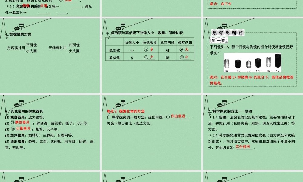 中考生物 第一部分 教材知识梳理 第1单元 第2章 探索生命复习课件 苏教版 课件