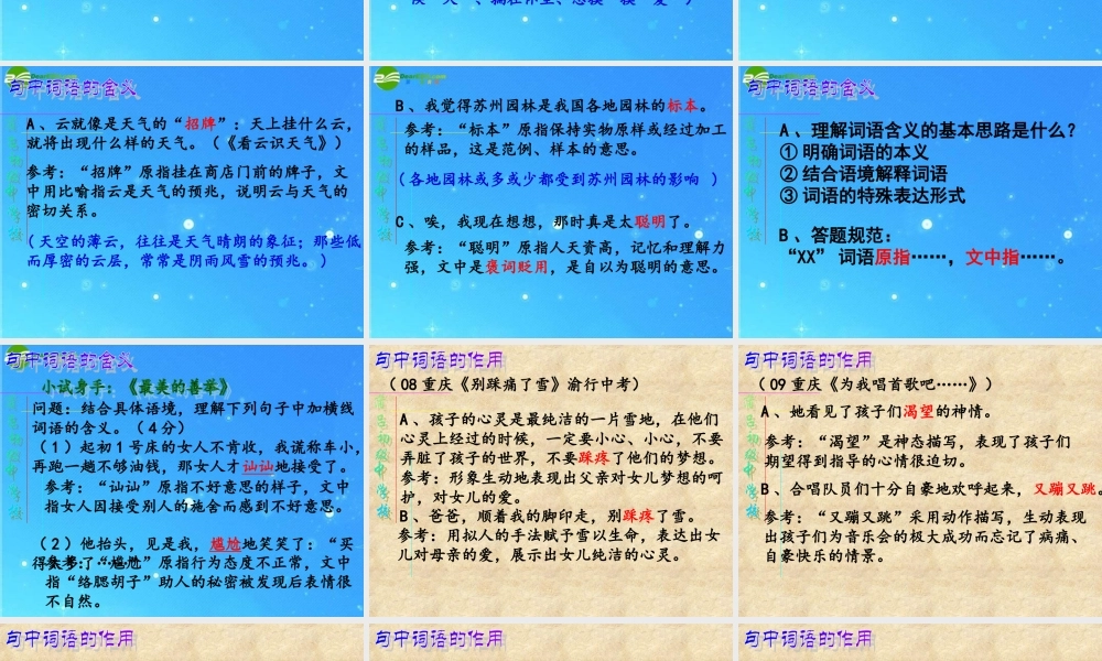 中考语文专题复习 词语含义及作用 课件 人教新课标版 课件