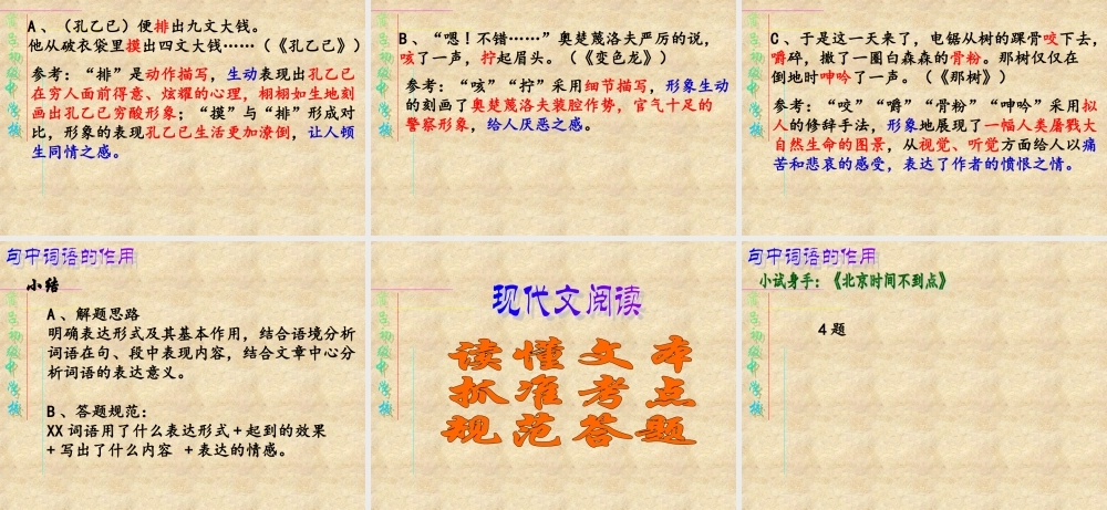 中考语文专题复习 词语含义及作用 课件 人教新课标版 课件