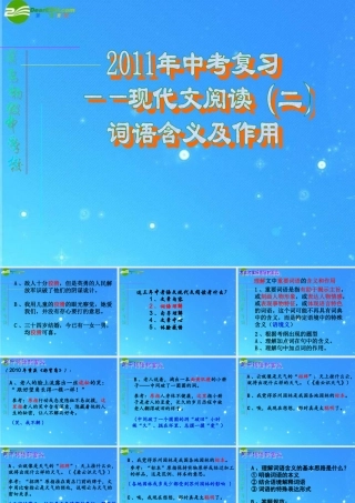 中考语文专题复习 词语含义及作用 课件 人教新课标版 课件