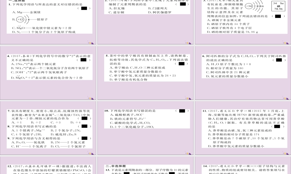 (遵义专版)中考化学总复习 第1编 教材知识梳理篇 化学用语专项训练课件