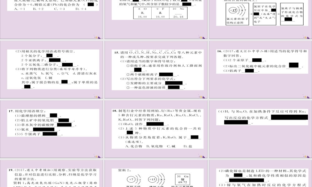 (遵义专版)中考化学总复习 第1编 教材知识梳理篇 化学用语专项训练课件