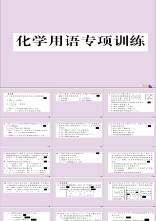 (遵义专版)中考化学总复习 第1编 教材知识梳理篇 化学用语专项训练课件