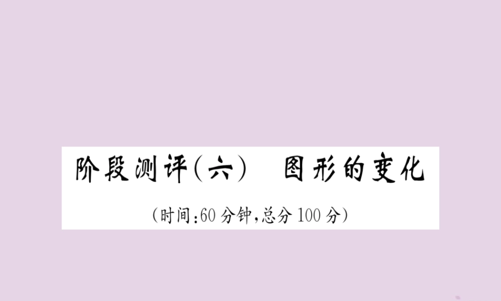 中考数学总复习 阶段测评(6)图形的变化课件