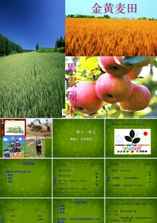 九年级化学下册 112 化学肥料课件 (新版)新人教版 课件