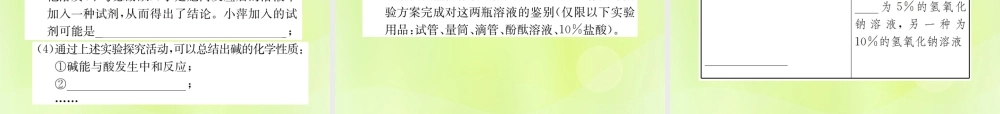 九年级化学下册 第十单元 酸和碱 实验活动6 酸、碱的化学性质复习课件 (新版)新人教版 课件