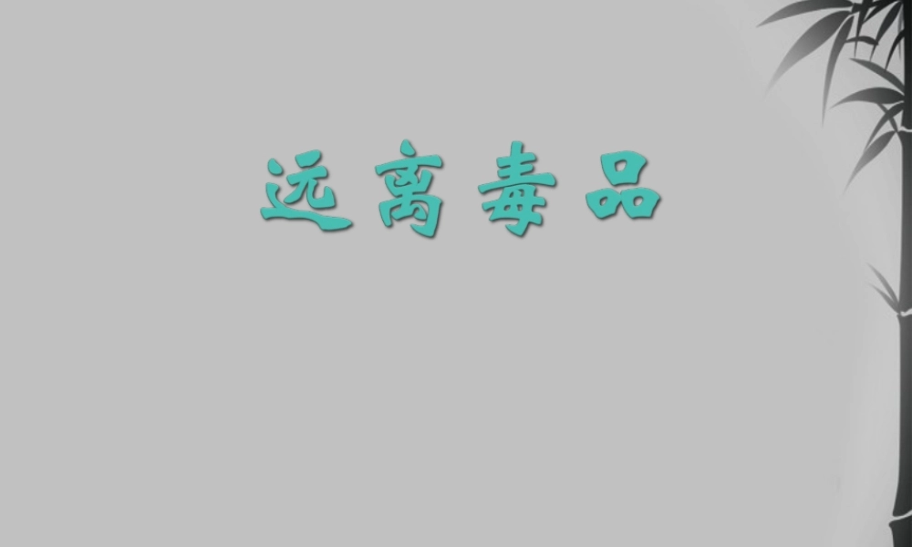 九年级化学下册 93远离毒品课件 湘教版 课件