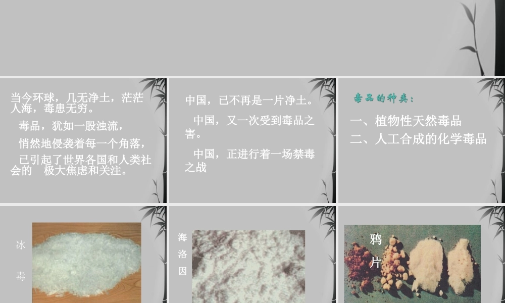 九年级化学下册 93远离毒品课件 湘教版 课件