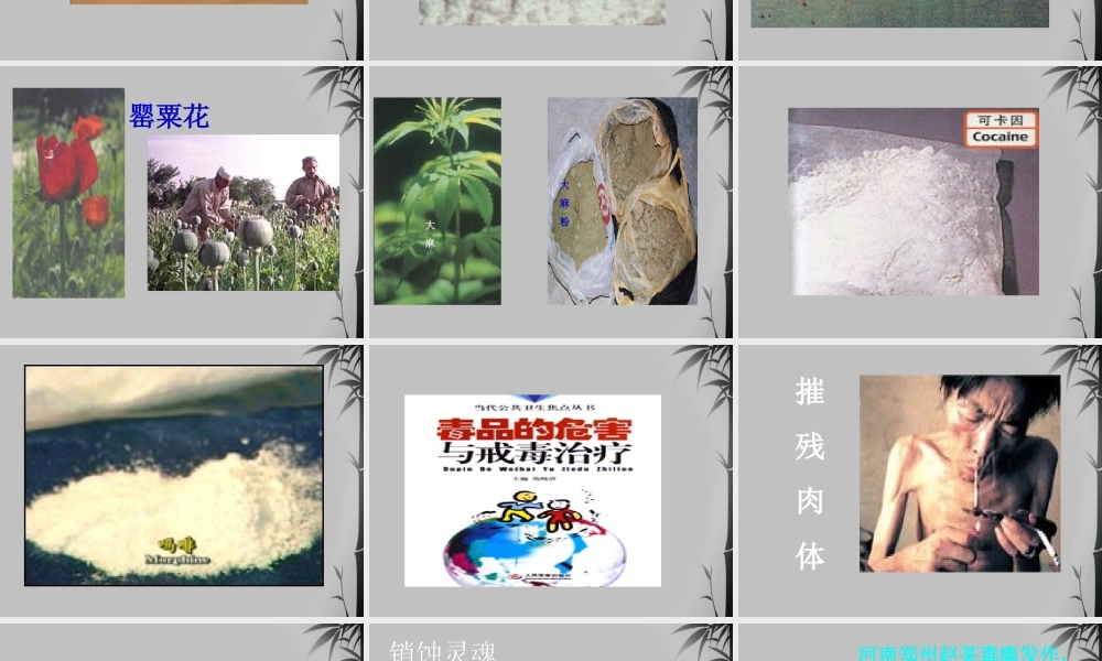 九年级化学下册 93远离毒品课件 湘教版 课件