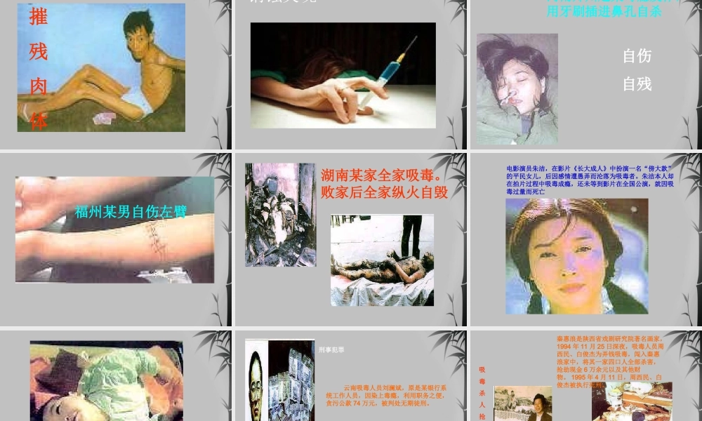 九年级化学下册 93远离毒品课件 湘教版 课件