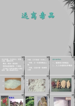 九年级化学下册 93远离毒品课件 湘教版 课件