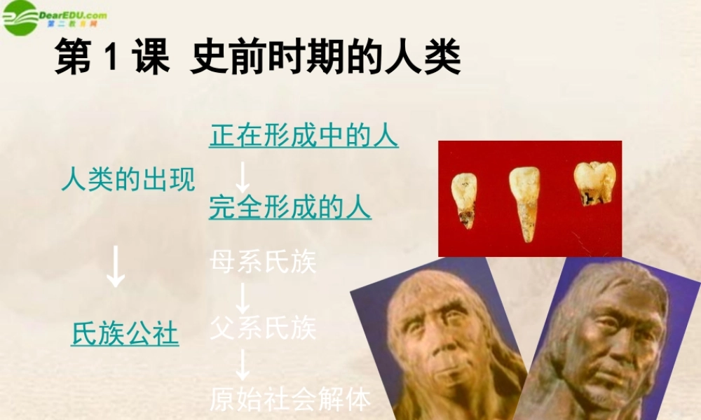九年级历史上册 第1课(史前时期的人类)课件 华师大版 课件