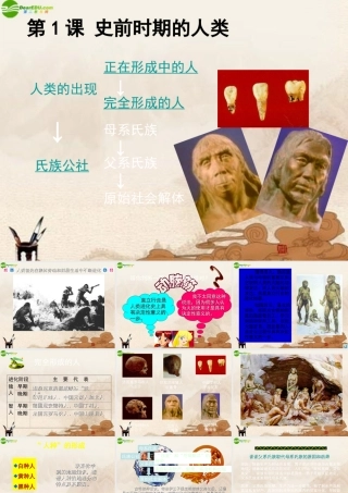 九年级历史上册 第1课(史前时期的人类)课件 华师大版 课件