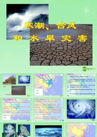 七年级地理 寒潮台风和水旱灾害课件 湘教版 课件