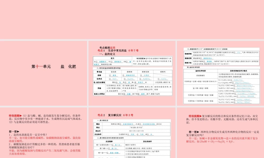 (临沂专版)中考化学总复习 第一部分 系统复习 成绩基石 第十一单元 盐 化肥课件 新人教版 课件