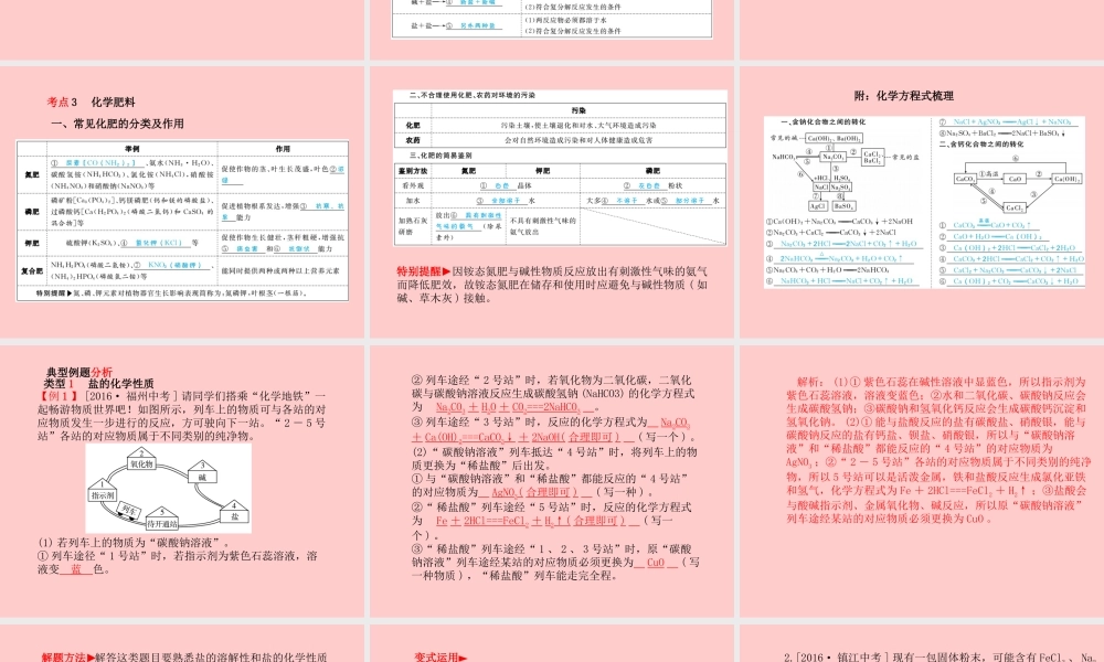 (临沂专版)中考化学总复习 第一部分 系统复习 成绩基石 第十一单元 盐 化肥课件 新人教版 课件