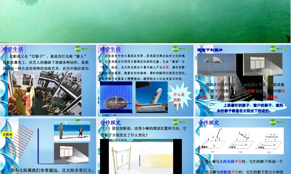 九年九年级数学下册 42投影(1)课件 浙教版 课件