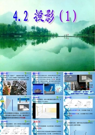 九年九年级数学下册 42投影(1)课件 浙教版 课件