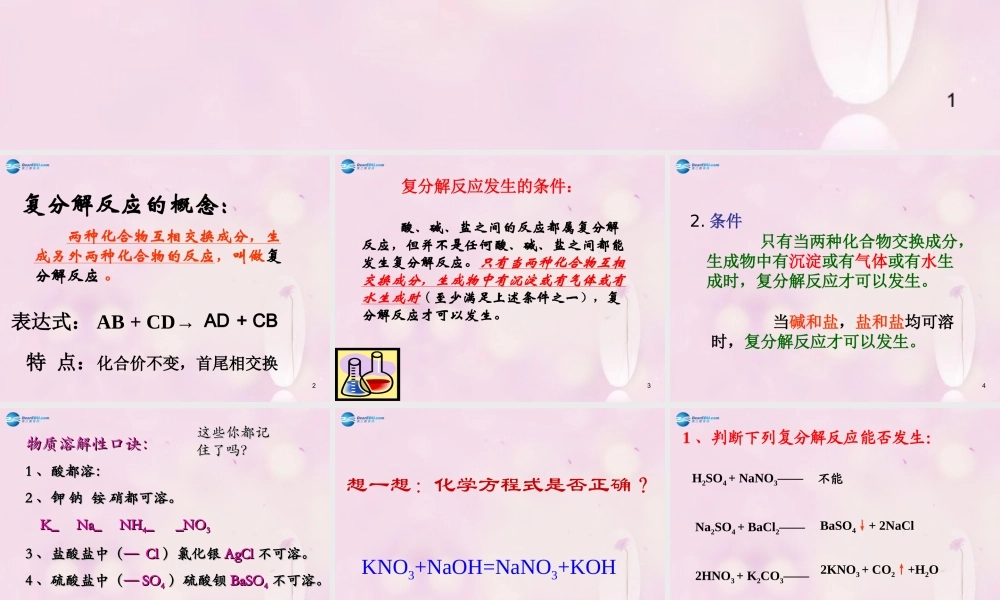 九年级化学下册 第十一单元 课题1 生活中常见的盐(第三课时)课件 (新版)新人教版 课件