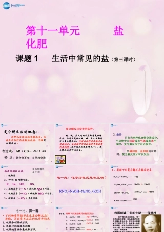 九年级化学下册 第十一单元 课题1 生活中常见的盐(第三课时)课件 (新版)新人教版 课件