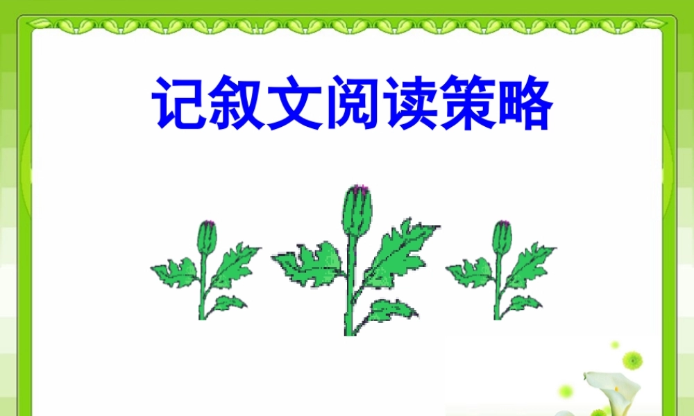 中考语文复习(记叙文阅读策略)课件
