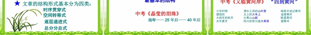 中考语文复习(记叙文阅读策略)课件