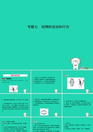 (江西专版)中考生物 第2部分 专题七 动物的运动和行为复习课件
