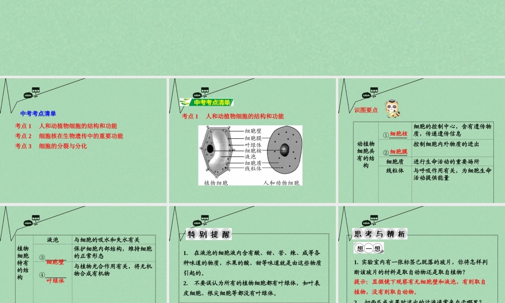 中考生物 第一部分 教材知识梳理 第2单元 第3章 细胞是生命活动的基本单位复习课件 苏教版 课件