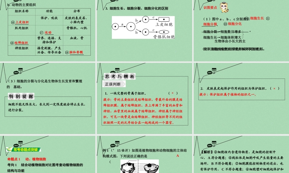中考生物 第一部分 教材知识梳理 第2单元 第3章 细胞是生命活动的基本单位复习课件 苏教版 课件