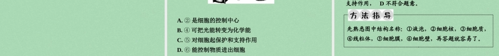 中考生物 第一部分 教材知识梳理 第2单元 第3章 细胞是生命活动的基本单位复习课件 苏教版 课件