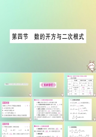 中考数学精选准点备考复习 第一轮 考点系统复习 第1章 数与式 第4节 数的开方与二次根式课件 新人教版 课件