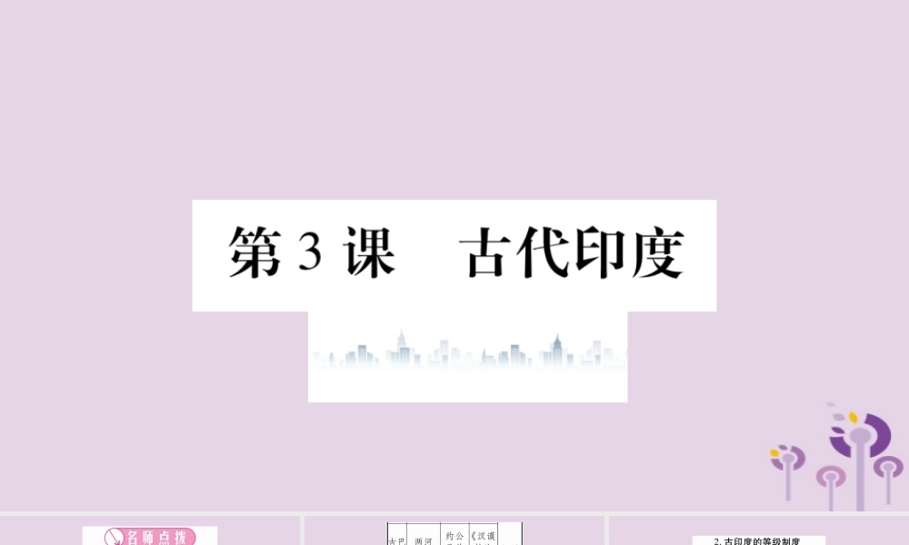 九年级历史上册 第1单元 古代亚非文明 第3课 古代印度习题课件 新人教版 课件