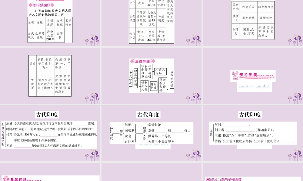 九年级历史上册 第1单元 古代亚非文明 第3课 古代印度习题课件 新人教版 课件