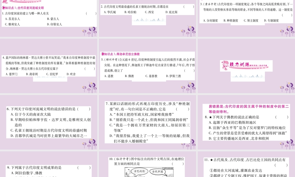 九年级历史上册 第1单元 古代亚非文明 第3课 古代印度习题课件 新人教版 课件