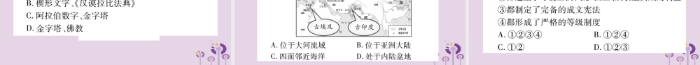 九年级历史上册 第1单元 古代亚非文明 第3课 古代印度习题课件 新人教版 课件
