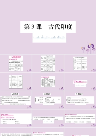 九年级历史上册 第1单元 古代亚非文明 第3课 古代印度习题课件 新人教版 课件