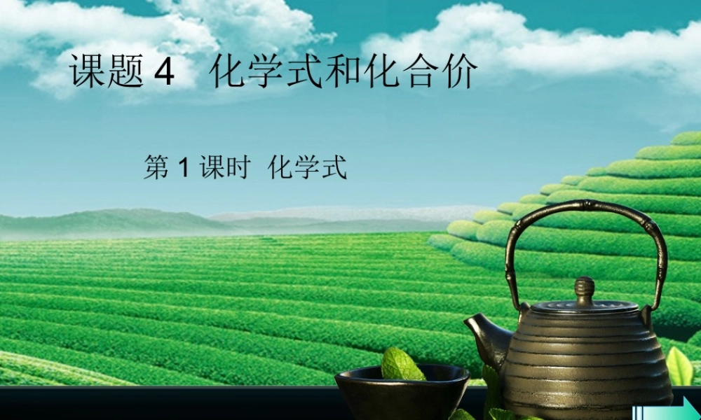 九年级化学上册 第四单元 自然界的水 课题4 化学式与化合价 第1课时 化学式导学课件 (新版)新人教版 课件