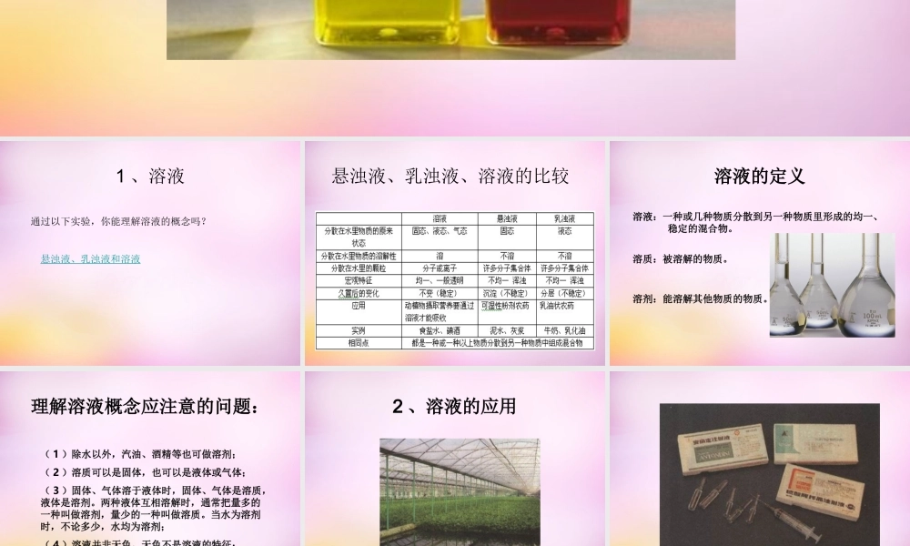 九年级化学下册 第九单元 溶液课件 新人教版 课件