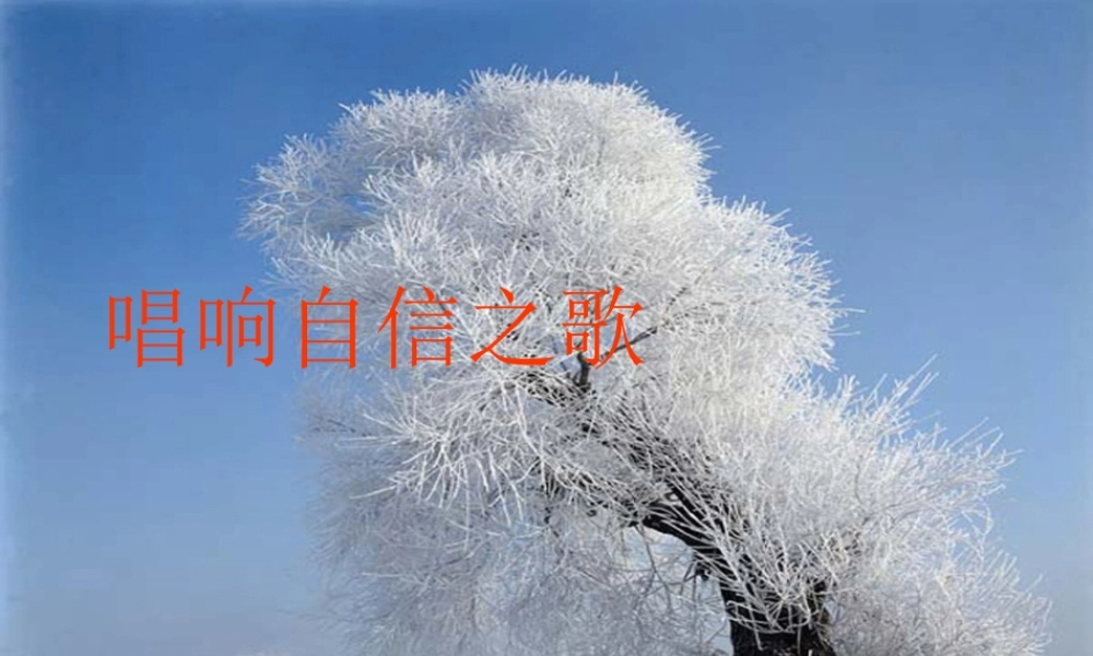 七年级上册第二课 第三框 唱响自信之歌 教学课件