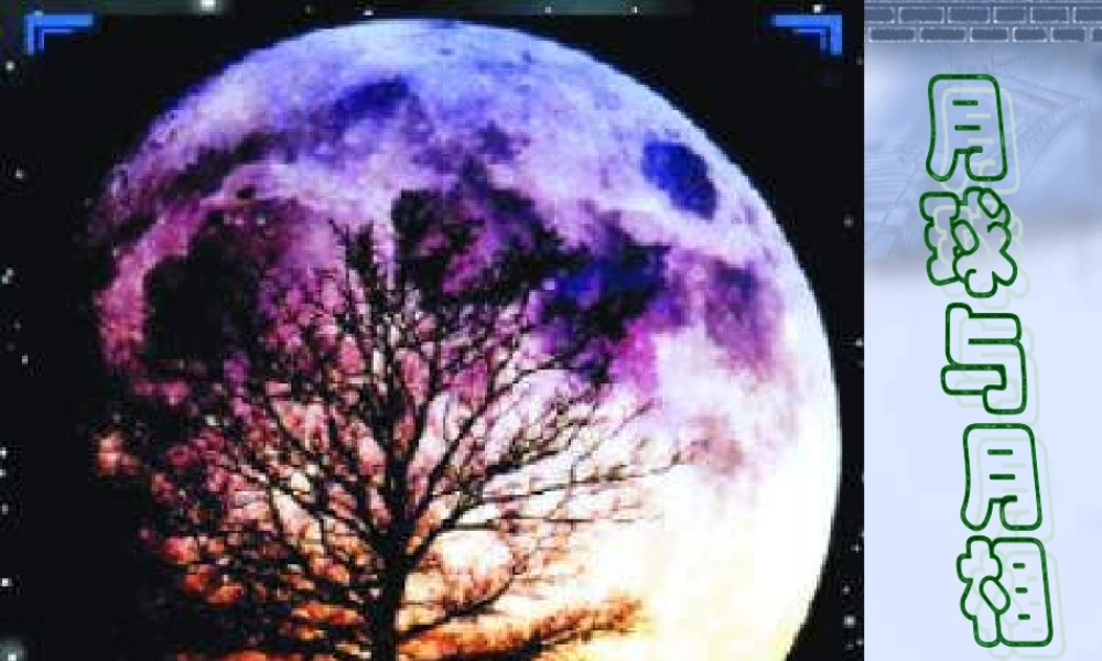 3.月球与月相2 七年级科学上：第二章第3节 月球与月相1课件华东师大版