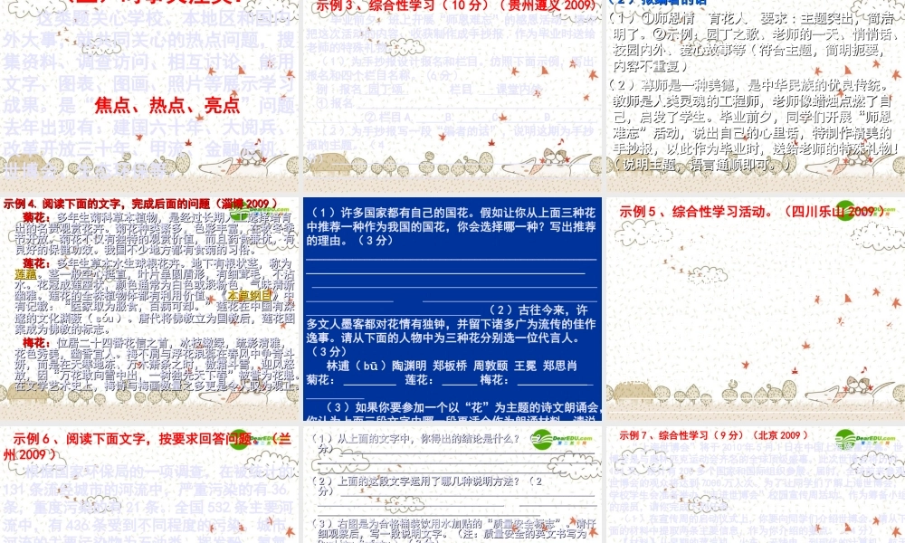 中考语文 综合运用题应对方略课件