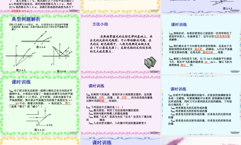 中考物理专题复习第二章 光学一 新课标 人教版 试题